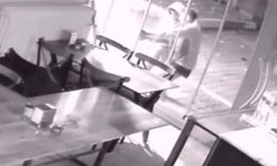 Çocuk Hırsızlar Alarm Verdi