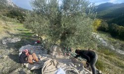 Çocuk Yaşta Başladı, Hiç Bırakmadı