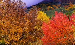 Gaziantep’in Zirvesinde Yeni Bir Vizyon
