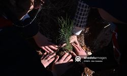 Gaziantep’te 120 Fidan Gazze İçin Dikildi