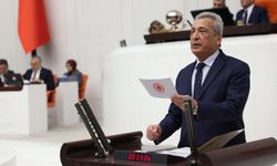 Öztürkmen: Ormanlarımız Bakanlık Eliyle Yağmalanıyor