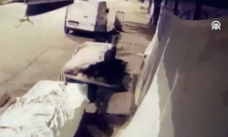 Hırsız Tepsiyle 10 Kilo Muz Çaldı