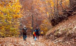 Huzurlu Yaylası’nda Renk Cümbüşü