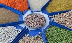 Gıda İhracatı 10 Milyar Doları Aştı