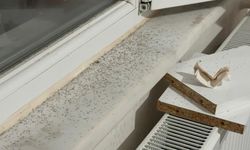 Kapılar Kapandı, Pencereler örtüldü… Gaziantep’i Üvez Bastı