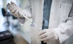 Kıkırdak Hasarına Kök Hücre Umudu