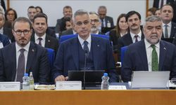 Kuduz ve Maymun Çiçeği Aşılarında Yerli Başarı