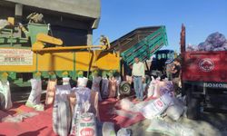 Makarnalık ve Baklavalık Buğday Sezonu Başladı