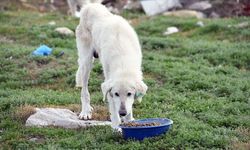 Gaziantep’te Mama Masrafı Sıfırlandı