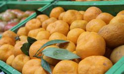 Mandalinada zehir bulundu!