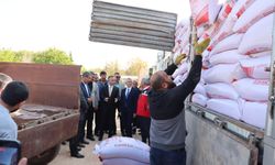 430 çiftçiye 224 ton mercimek tohumu desteği