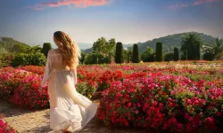 Rüyada Kır Bahçelerinde Dolaşmak Ne Anlama Gelir?