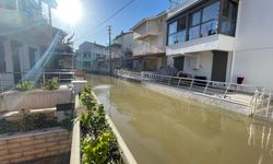 Sağanak Sele Dönüştü