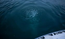 Sapanca Gölü’nde Kabaran Endişe: “Su Kaynıyor, Uyuyamıyoruz”