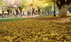 2025 tarihin en sıcak ikinci yılı olabilir