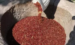 Karatay’ın “mutlaka tüketin” dediği baharat