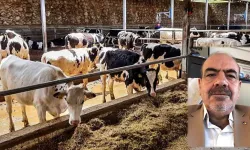 Gaziantep’te Üretici Çöküyor