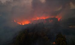 Minibüste Başladı Ormanlık Alana Sıçradı