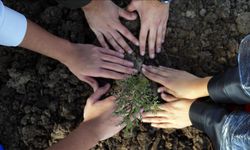 Yeşil Vatan İçin Çifte Rekor