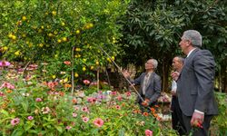 Ya Tutarsa Dediler, Tuttu