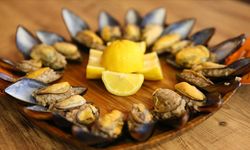 Uzmanlar Uyardı: Sokakta Satılan Gıdalar Ölümcül Olabilir