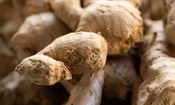 Doğanın Şifa İkilisi: Zencefil ve Zerdeçal