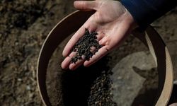 Tunç Çağı’ndan Günümüze Tarımın İzleri Ortaya Çıktı