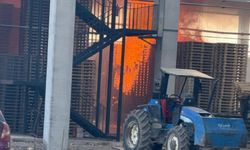 Palet Fabrikasında Yangın: Bir Yaralı