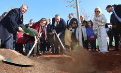 YEŞİLANTEP Projesiyle 120 Fidan Toprakla Buluştu