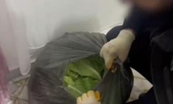 22 Kilo Skunk Marulların Altından Çıktı