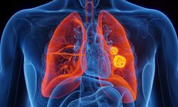 2050’ye Dair Korkutan Rapor