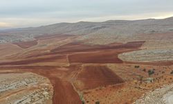 GAP ile Taşlık Araziler Üretime Kazandırılacak