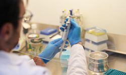 Yapay Zekâ Kıyı Altyapılarını Koruyacak