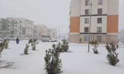 Çiftçinin Yüzü Güldü