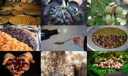 Coğrafi İşarette Gaziantep Damgası