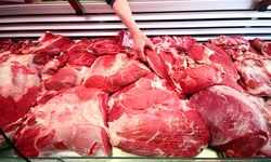 Yerli Aşıyla Şap Hastalığına Karşı Etkili Mücadele