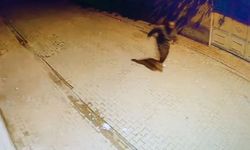 Evlerin Camlarını Taşlayıp Kaçtı