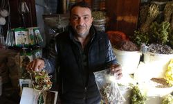 Aktarlarda Kış Yoğunluğu