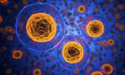 Bilim İnsanlarından Yaşlanmaya Karşı Yeni Yöntem