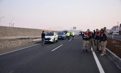 İki Aracın Arasında Can Verdi