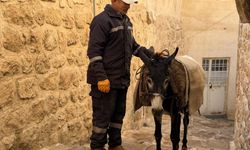 ‘Kadrolu Eşekler’ Emekli Ediliyor