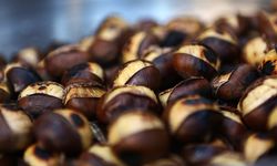 Kestane Tüketiminde Dikkat!