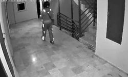 Kurye binanın merdivenlerine tuvaletini yaptı