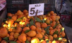 Mandalina Fiyatları Dibe Vurdu