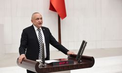 Meriç’ten Fıstık İthalatına Tepki: Yerli Üretici Korunmalı