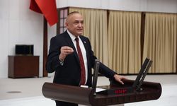 Meriç’ten Kutlama Tepkisi: Bu Artık Güvenlik Sorunu