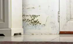 Nem ve Rutubete Şaşırtan Çözüm