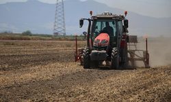 Tarımsal Destek Ödemeleri Çiftçilerin Hesaplarında