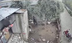 Tavuk Hırsızı Tutuklandı