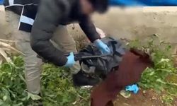 Toprağa Gömülü Silahlar Ele Geçirildi